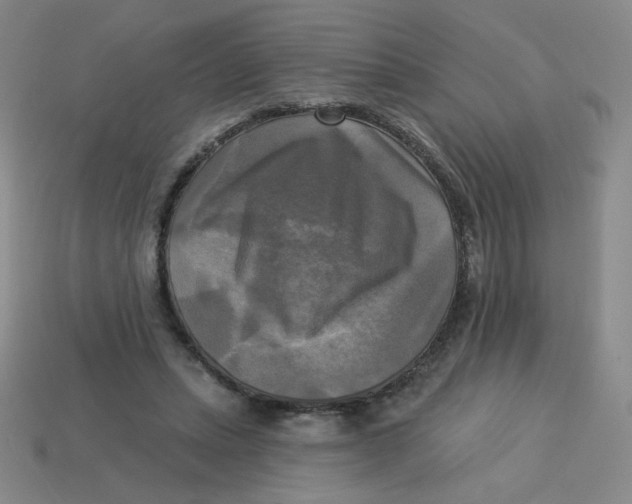 X0000113300447200910131050