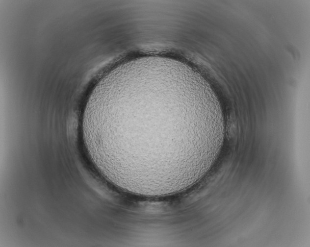 X0000113300448200910131050