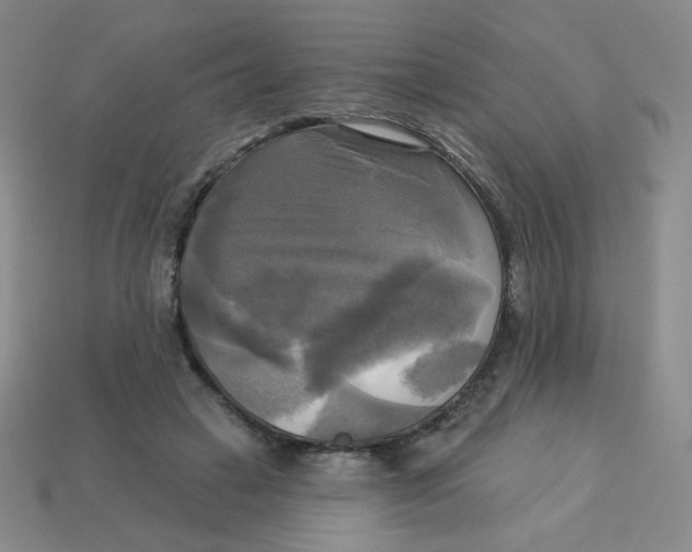 X0000113300449200910131050