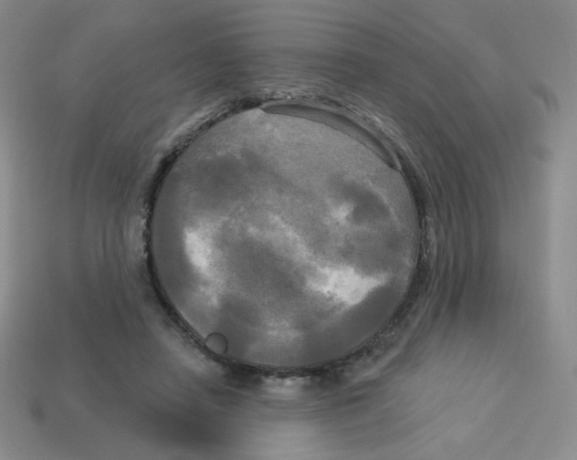 X0000113300450200910131050