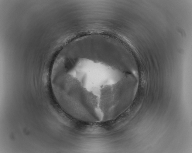 X0000113300451200910131051