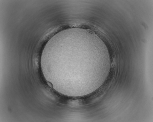X0000113300452200910131051