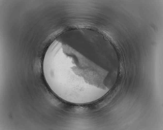 X0000113300453200910131051