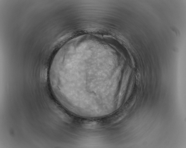 X0000113300454200910131051