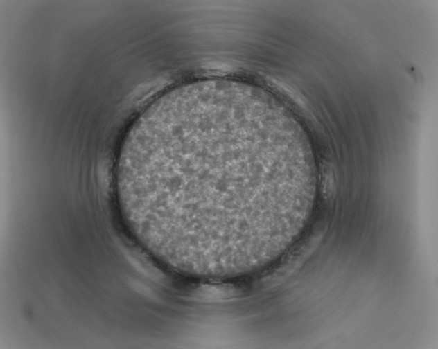 X0000113300455200910131051