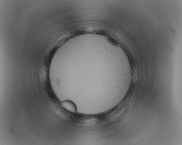 X0000113300456200910131051