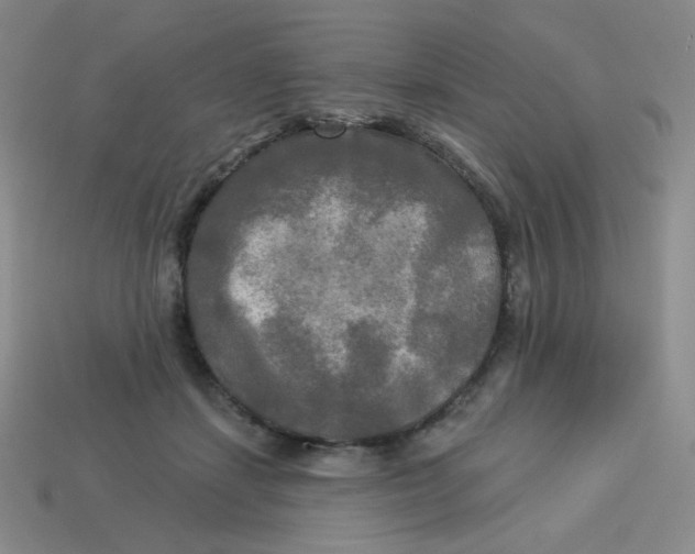 X0000113300459200910131051