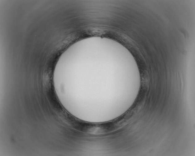 X0000113300460200910131051