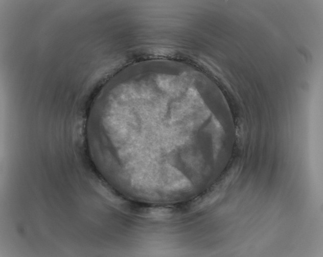 X0000113300462200910131051
