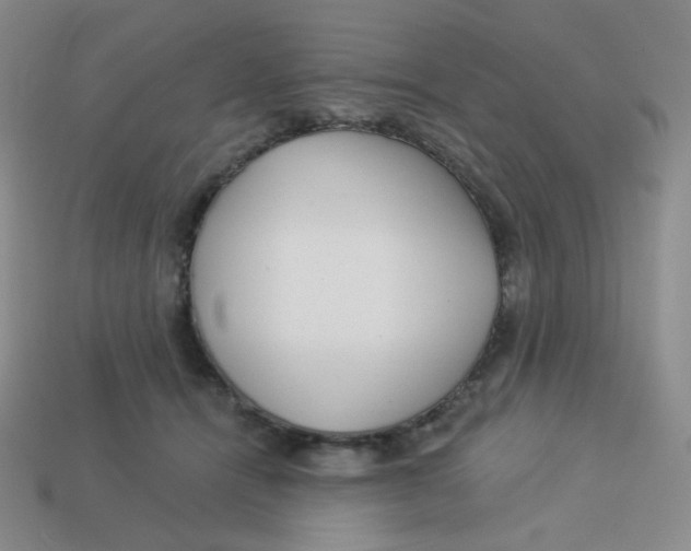 X0000113300464200910131051