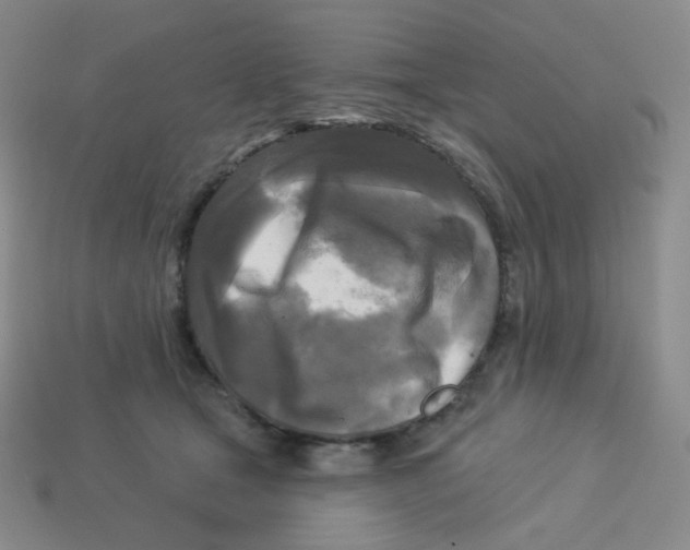 X0000113300465200910131051
