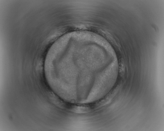X0000113300466200910131051