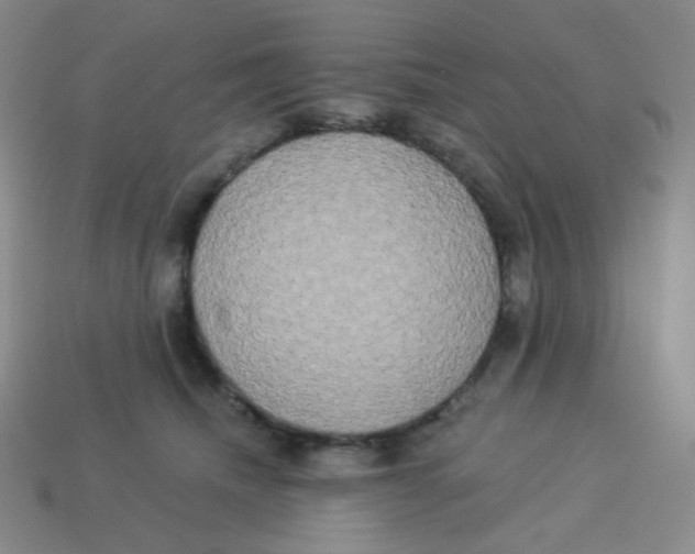 X0000113300468200910131051