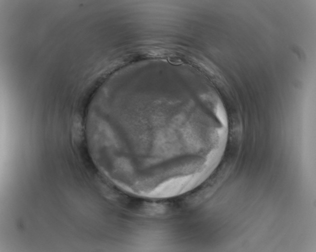 X0000113300469200910131051