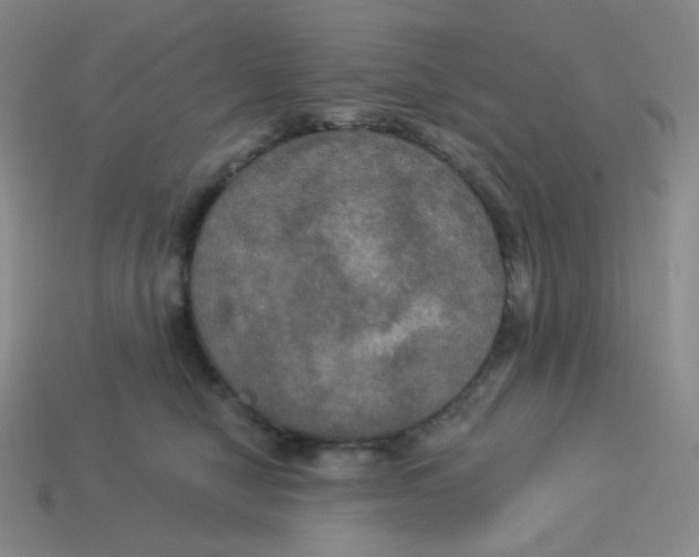 X0000113300470200910131051