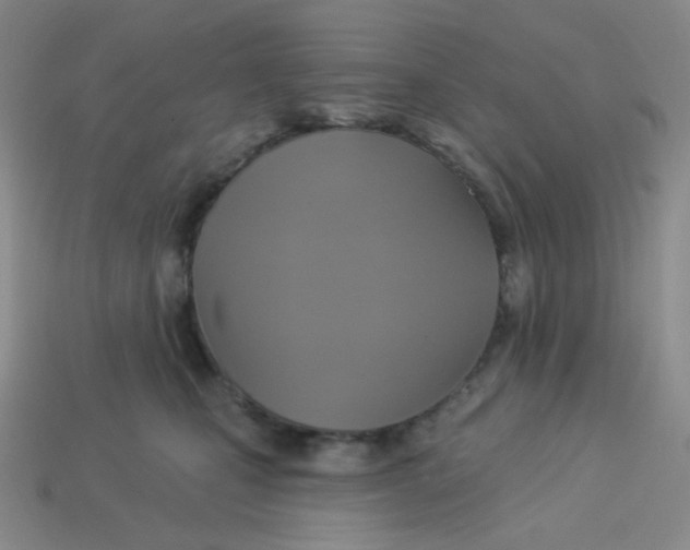 X0000113300471200910131051