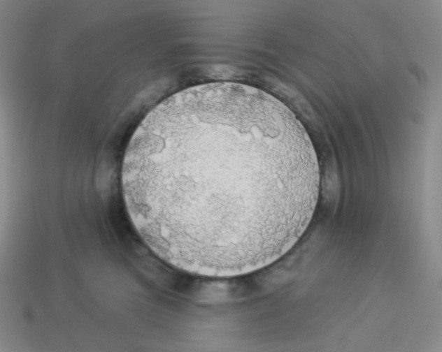 X0000113300473200910131051