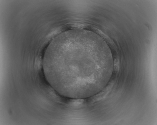 X0000113300474200910131051