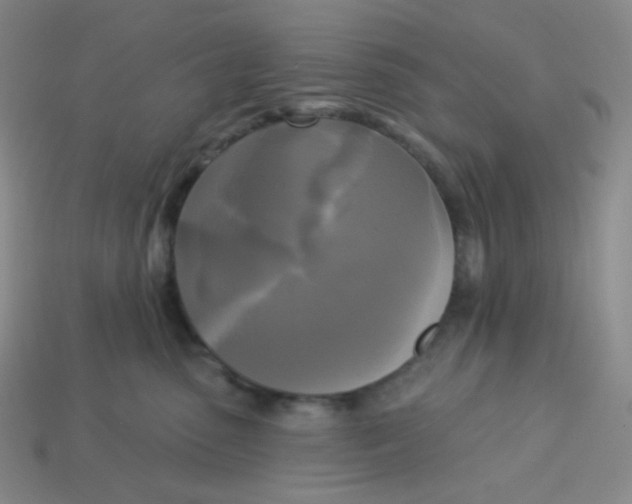 X0000113300475200910131051