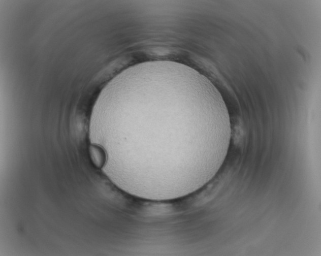 X0000113300476200910131051