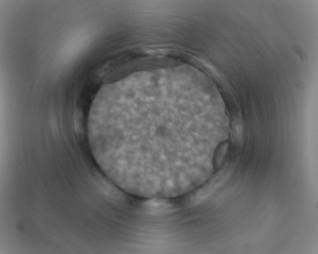 X0000113300477200910131051