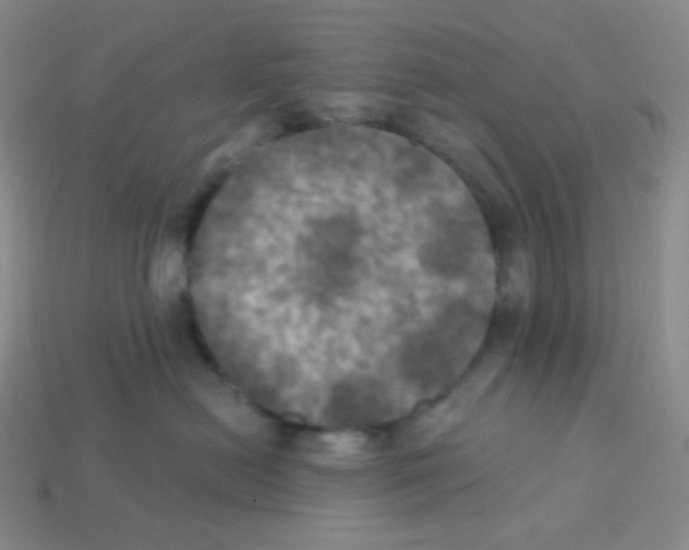 X0000113300478200910131051