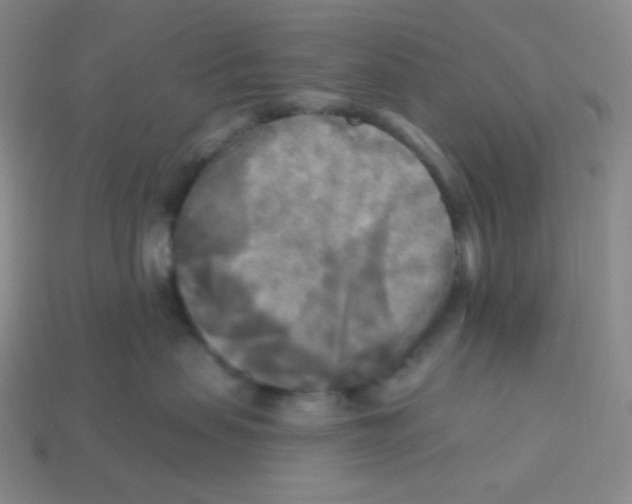 X0000113300479200910131051