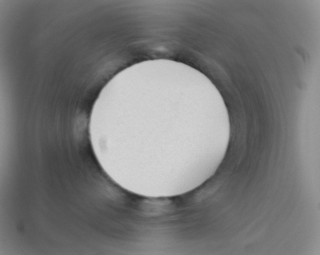 X0000113300480200910131051