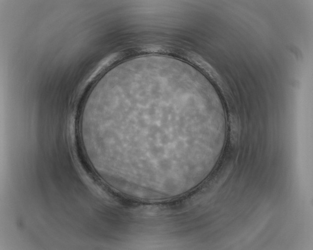 X0000113300482200910131050