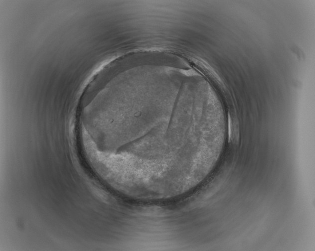 X0000113300483200910131050
