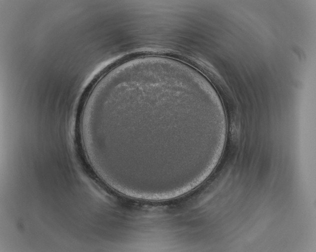 X0000113300484200910131050