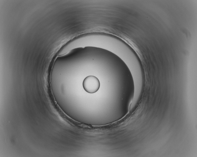 X0000113300485200910131050