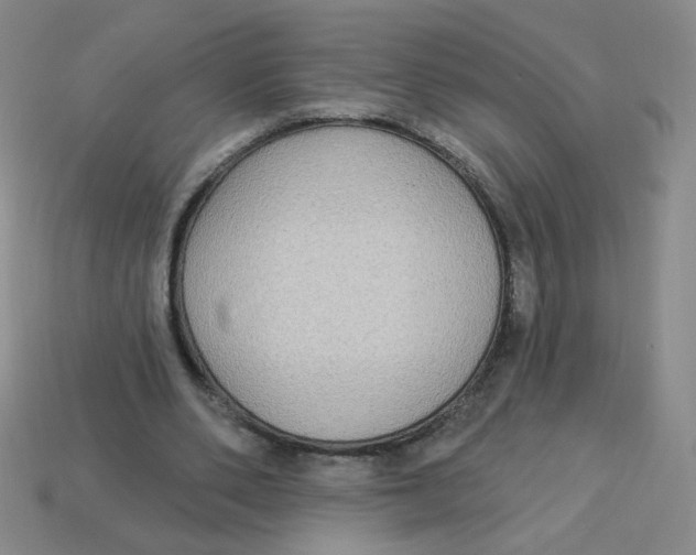 X0000113300486200910131050