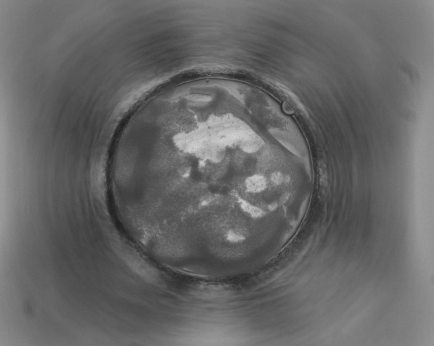 X0000113300487200910131050