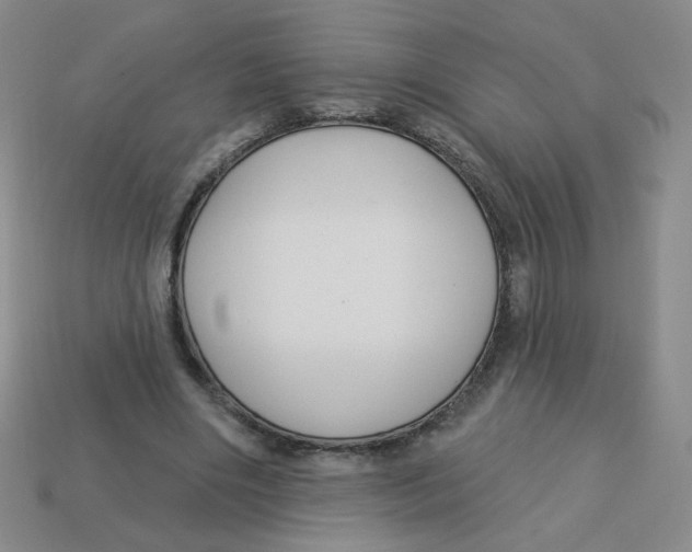 X0000113300490200910131050