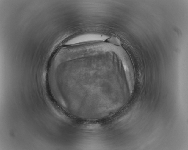 X0000113300491200910131050