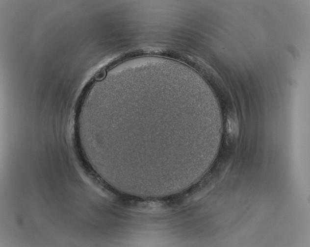 X0000113300492200910131050