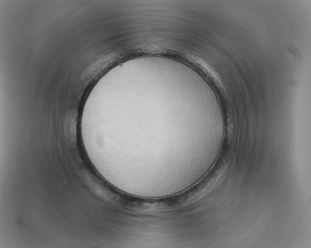 X0000113300493200910131050
