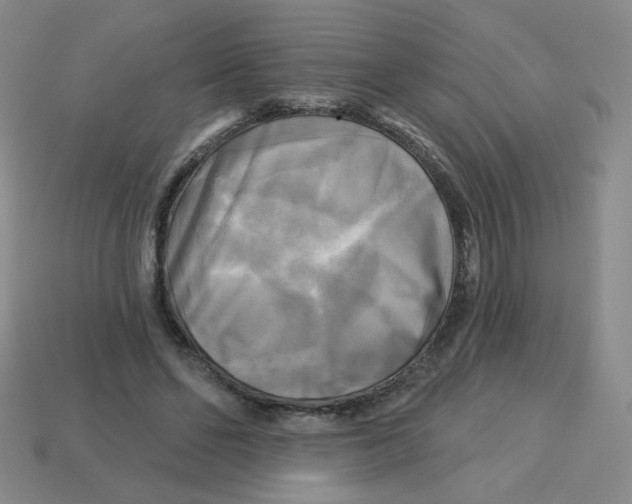 X0000113300494200910131050