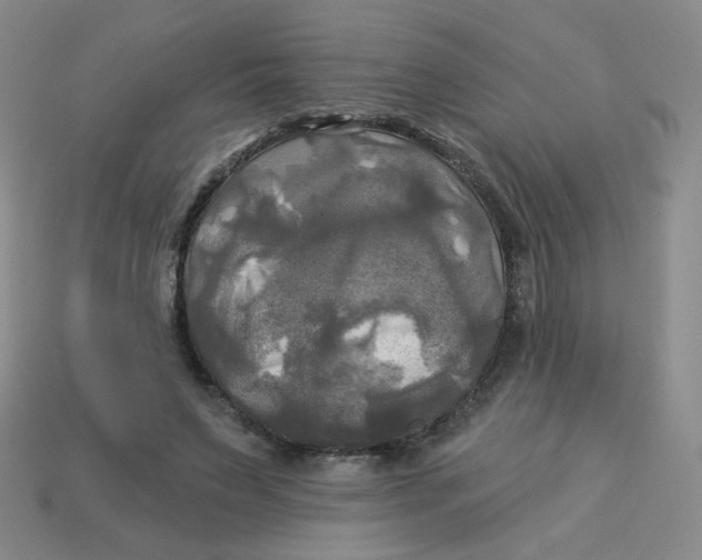 X0000113300495200910131050