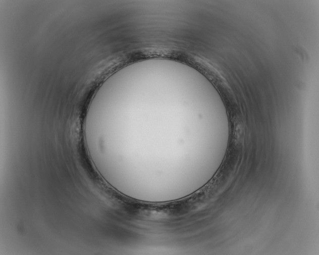 X0000113300498200910131050