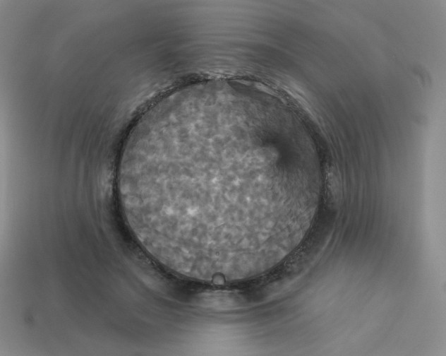 X0000113300499200910131050
