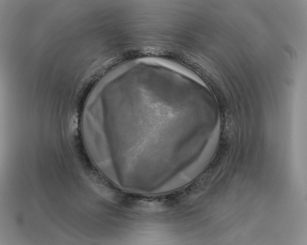 X0000113300502200910131050