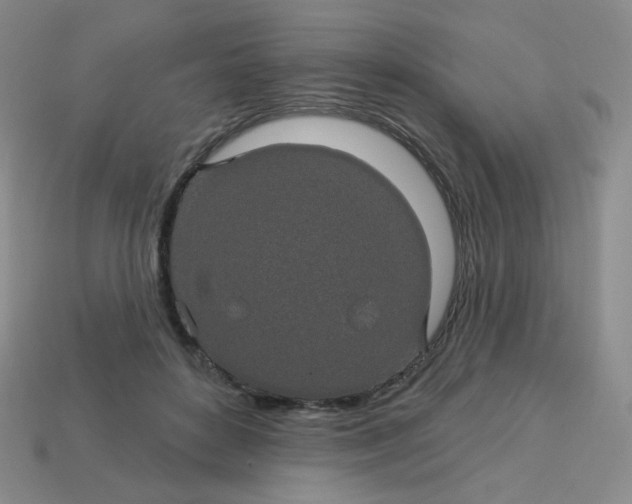 X0000113300504200910131050