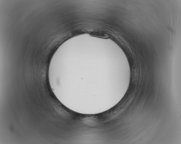 X0000113300505200910131050