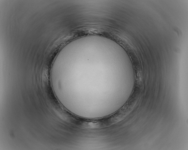 X0000113300506200910131050