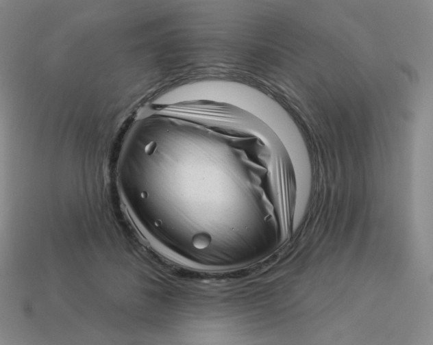 X0000113300508200910131050