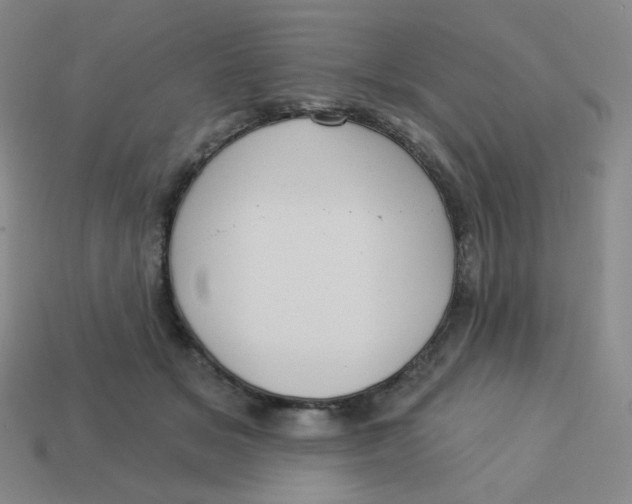 X0000113300509200910131050