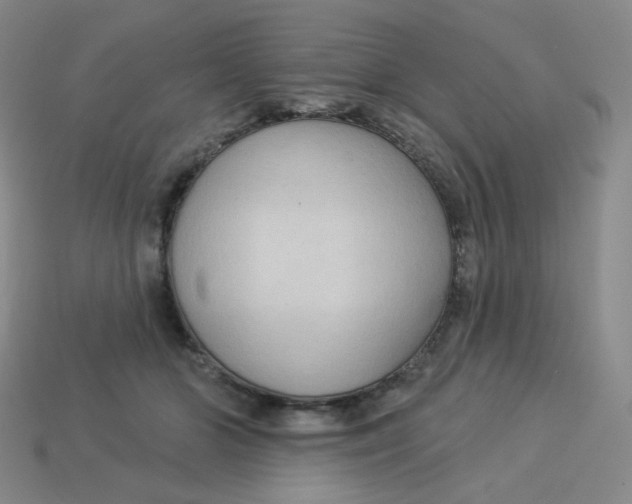 X0000113300510200910131050