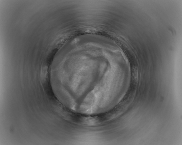 X0000113300511200910131050